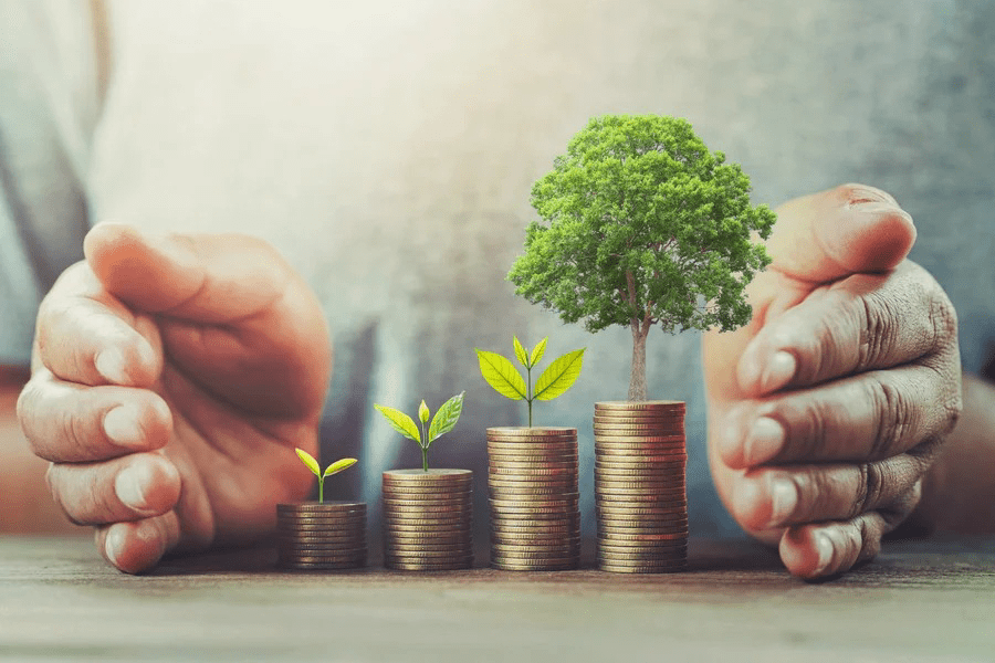 ارزان‌سازی، این بار بدون قیمت‌گذاری دستوری مجتبی توانگر
