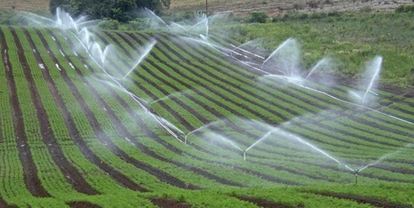 آبیاری نوین