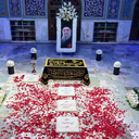 تصویر نمایه‌ی ‌فرزانه ابراهیم پور‌