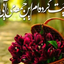 تصویر نمایه‌ی ‌فاطمه فلاحی‌