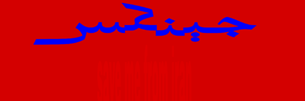 تصویر سربرگ نمایه‌ی ‌جینکسه مؤمن‌