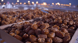 بازار میلیاردی چین چشم‌انتظار خرمای ایرانی