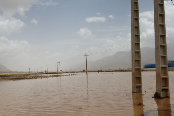 سیل فریدن