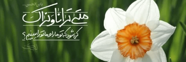 تصویر سربرگ نمایه‌ی ‌Zohre Z‌