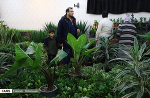 نمایشگاه سراسری گل و گیاه  و صنایع دستی در اهواز
