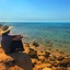 تصویر نمایه‌ی ‌علی عرب‌