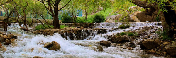 تصویر سربرگ نمایه‌ی ‌وحید سیفی‌