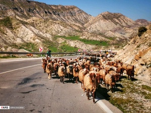 استان ایلام، نگینی بر انگشتر رشته کوه زاگرس