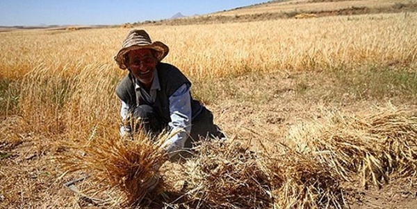 بیمه روستاییان