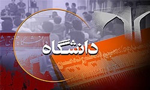 دانشگاه