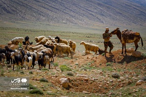کوچ بهاره «عشایر فارس»