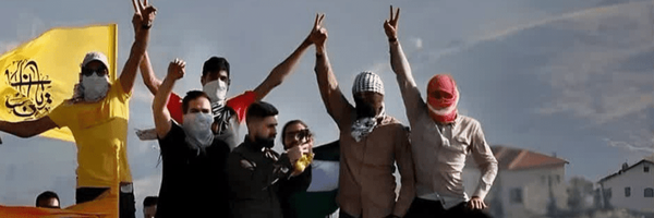 تصویر سربرگ نمایه‌ی ‌علی اکبر محمدحسنی‌