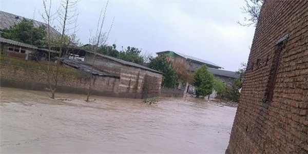 عکس سیل