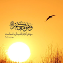 تصویر نمایه‌ی ‌سید ابوالفضل‌
