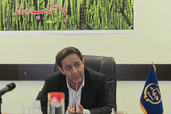 محمدرضا طلایی رئیس سازمان جهاد کشاورزی استان قم