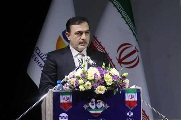 مدیرعامل سازمان منطقه آزاد قشم