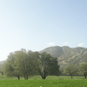 تصویر نمایه‌ی ‌سعید پاکباز‌