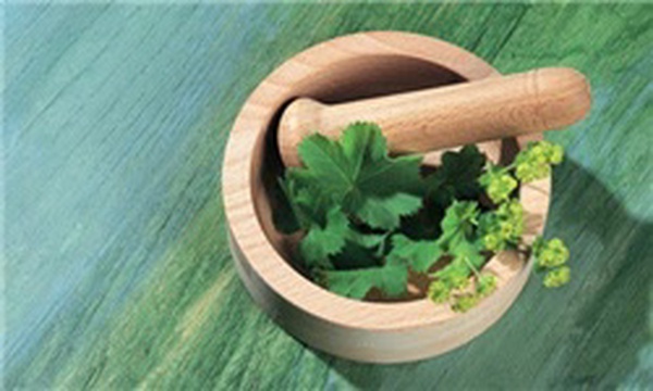 گیاهان دارویی