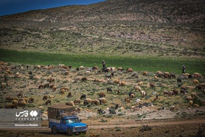 کوچ بهاره «عشایر فارس»