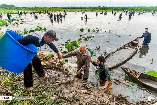 همکاری و کمک روستایان به یک دیگر
