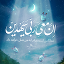 تصویر نمایه‌ی ‌مهشید رفعتی‌