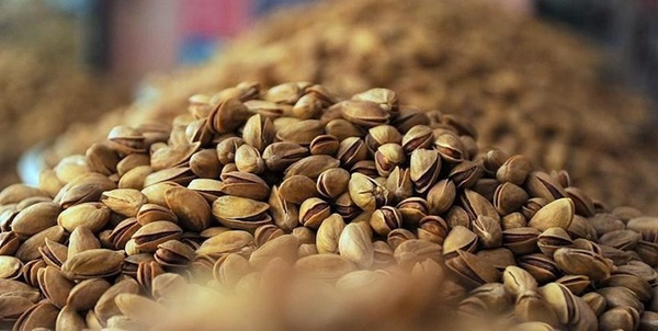 صادرات پسته