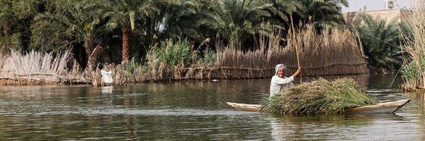 تصویر سربرگ نمایه‌ی ‌قاسم مقدم‌