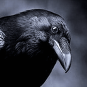 تصویر نمایه‌ی ‌Crow‌