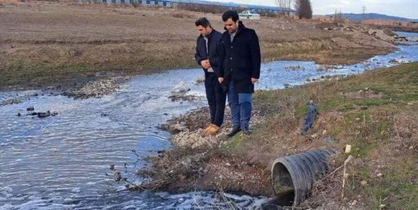 حسن شاهی