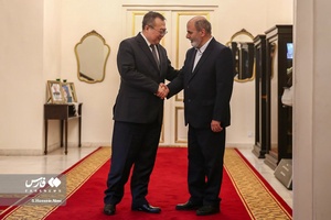 دیدار وزیر بین الملل کمیته مرکزی حزب کمونیست چین با دکتر احمدیان