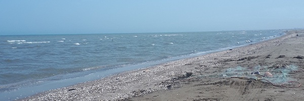 تصویر سربرگ نمایه‌ی ‌علیرضا سلیمانی‌