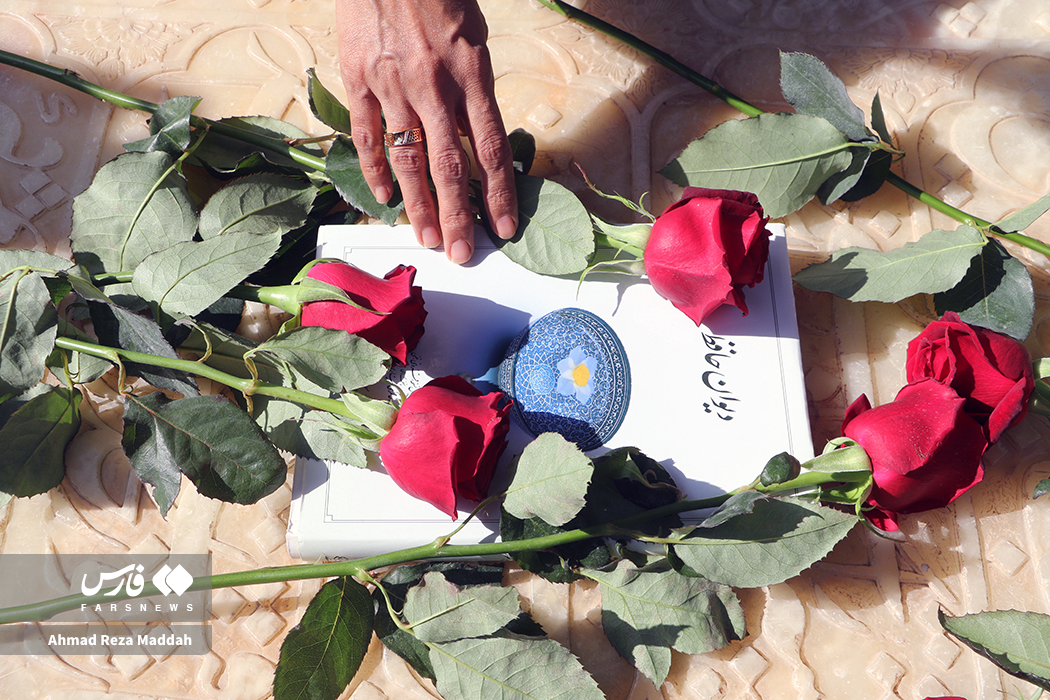 بزرگی در همسایگی ما