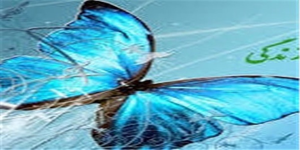اهدای عضو