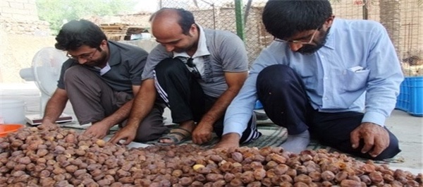 خرما چینی