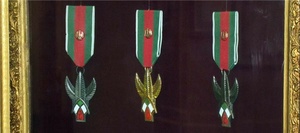 نشان فتح