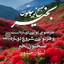 تصویر نمایه‌ی ‌کینگ‌