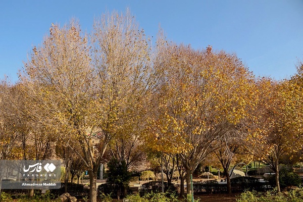 روزهای پاییزی بوستان نماز شیراز 