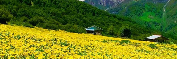 تصویر سربرگ نمایه‌ی ‌hh aa‌