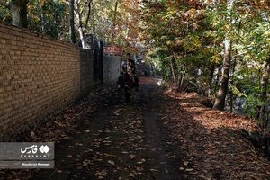 پاییزِ البرز