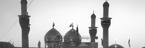 تصویر سربرگ نمایه‌ی ‌سید هادی سبزپوش‌