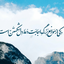 تصویر نمایه‌ی ‌سیده فاطمه حبیبی‌