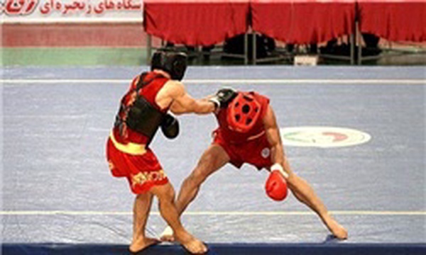 ووشو