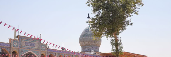 تصویر سربرگ نمایه‌ی ‌علیرضا پرنیان‌