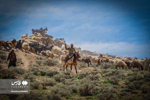کوچ بهاره «عشایر فارس»