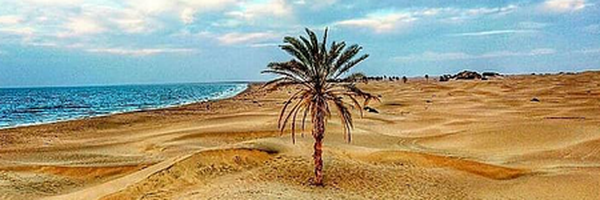 تصویر سربرگ نمایه‌ی ‌معین کفاش‌