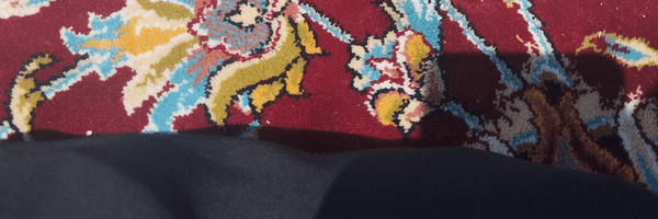 تصویر سربرگ نمایه‌ی ‌فاطمه نعمتی‌