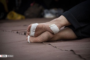 قدم به قدم در طریق‌الحسین (ع)