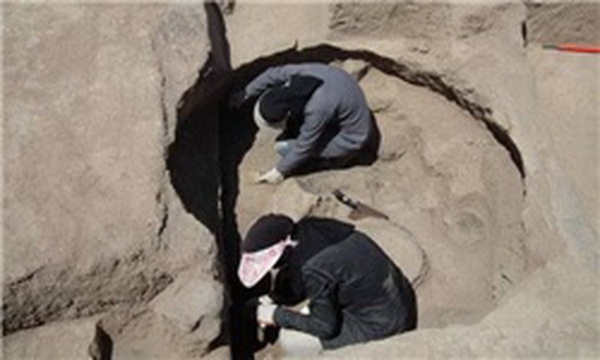 کاوشگری و باستان شناسی