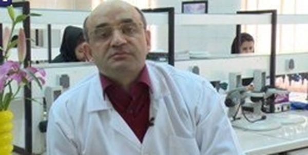 محمودی 