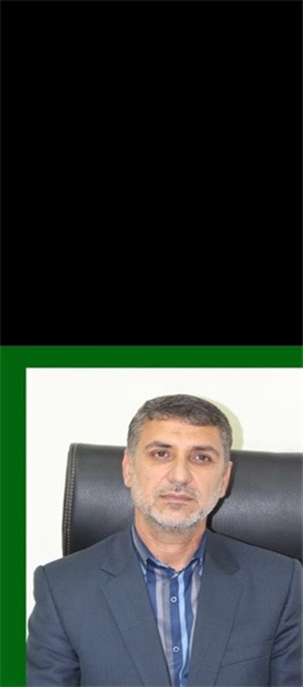 فرماندار تنگستان